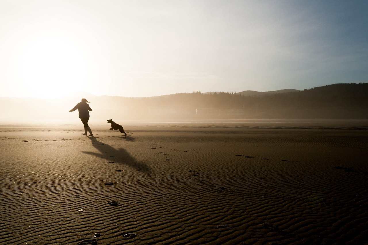 Playing With A Dog On The Beach